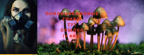 ECSTASY Алексин