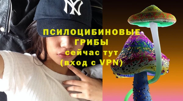 эйфоретик Алзамай